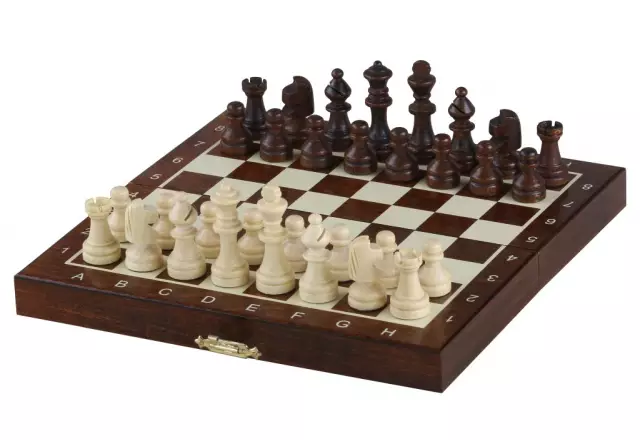 Jeu d'Echecs Magnétique Mini en Bois – Compact et Pratique pour Voyager